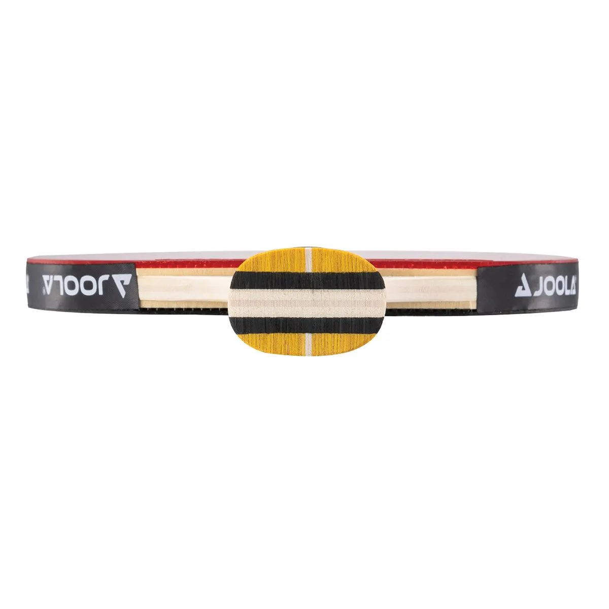 JOOLA Team Master raquette tennis de table polyvalente