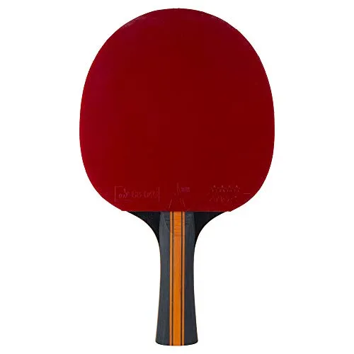 STIGA Vision Carbone raquette ping-pong 4 étoiles rapide