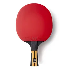 Butterfly Timo Boll Force raquette ping pong carbone