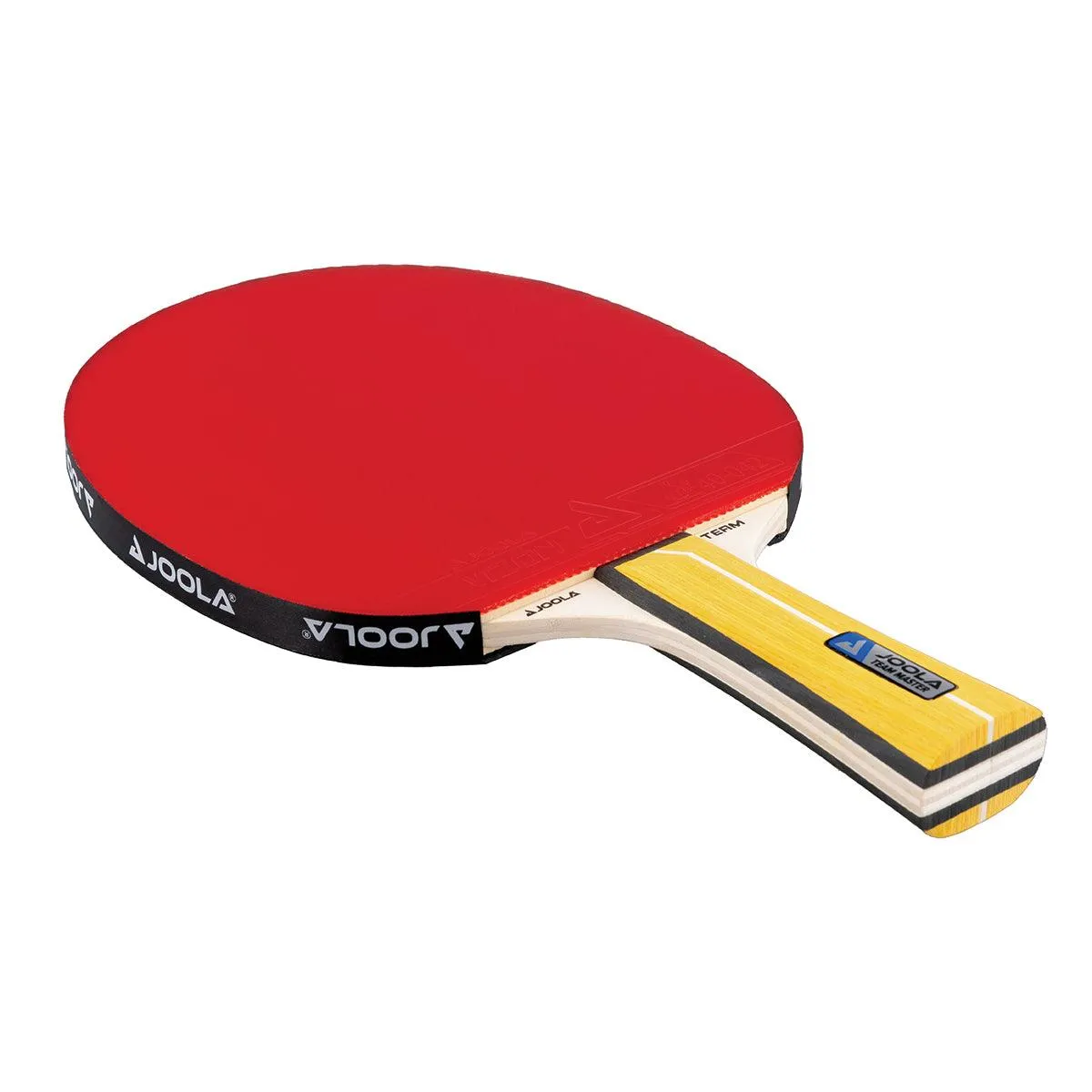JOOLA Team Master raquette tennis de table polyvalente